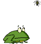 frog
                                  fly catch